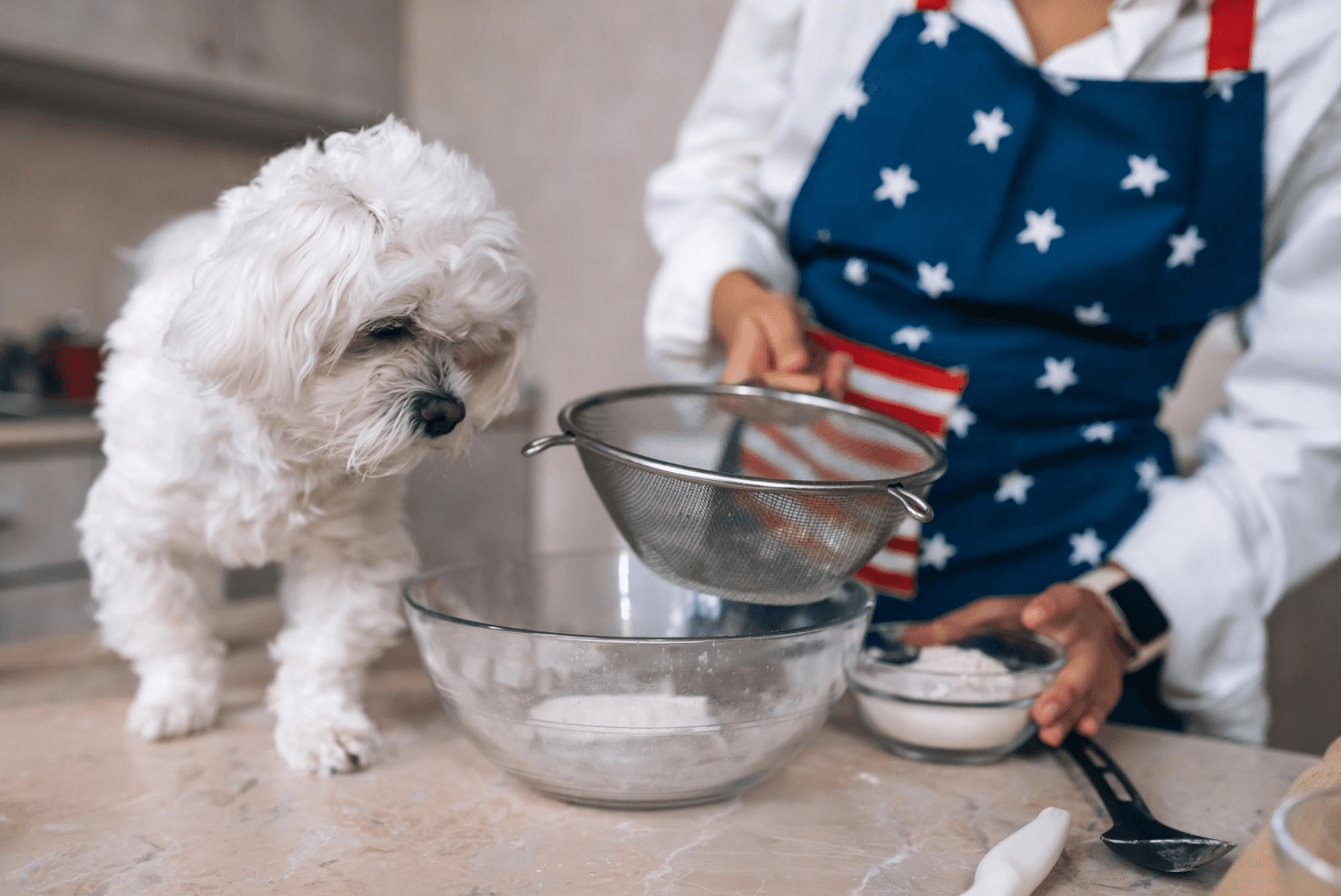 Gently baked dog food preserving nutrients